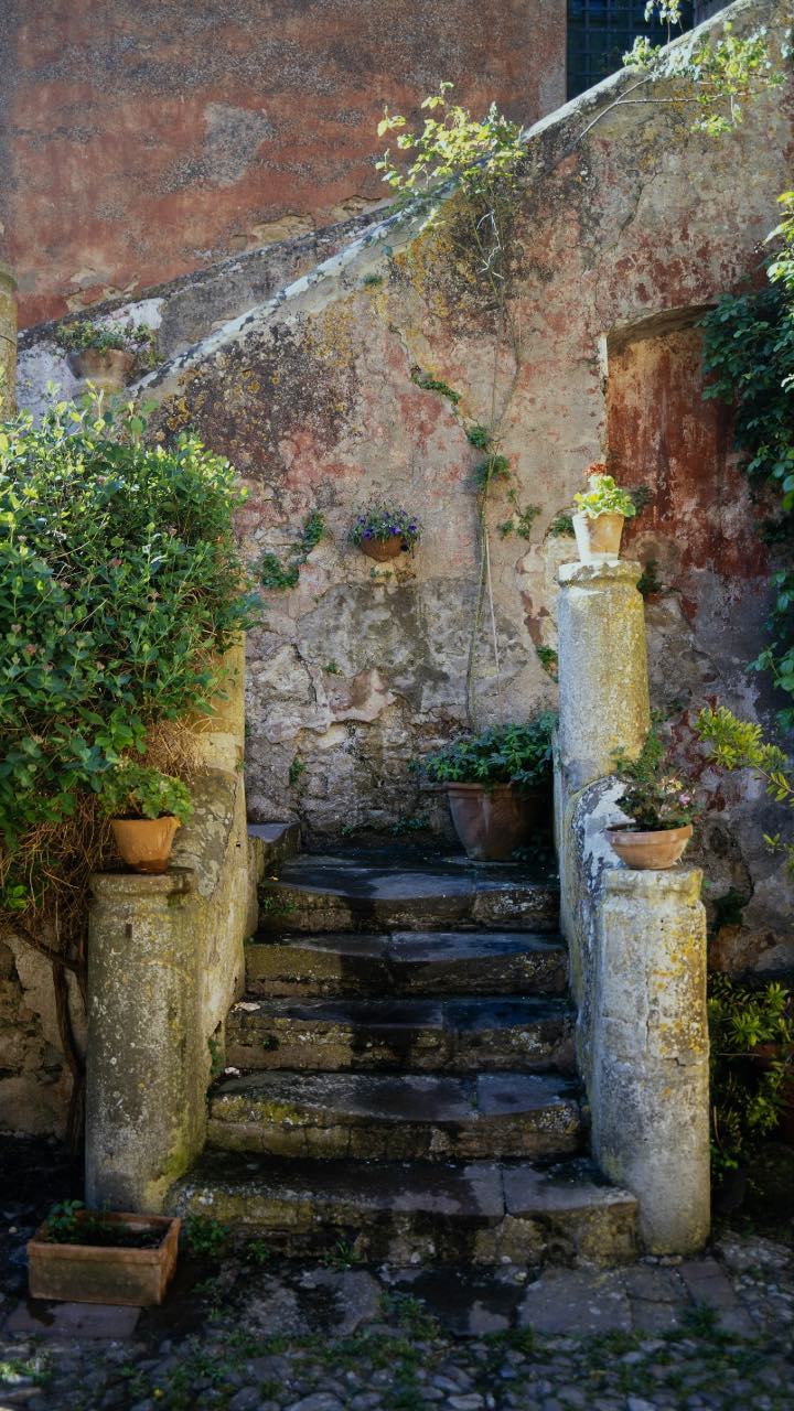 193 mur patiné et jardin
